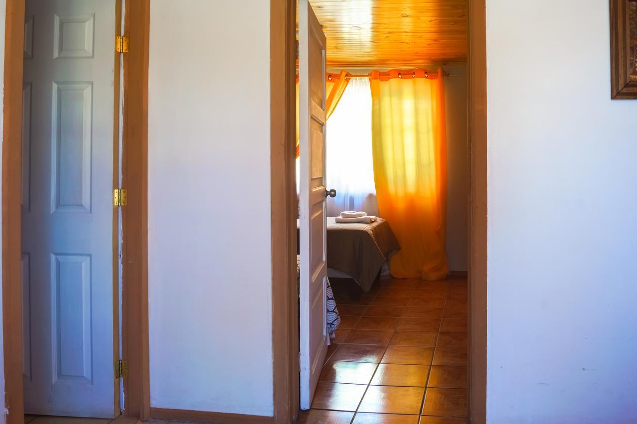 Homestay In Chile B&B 库里科 外观 照片