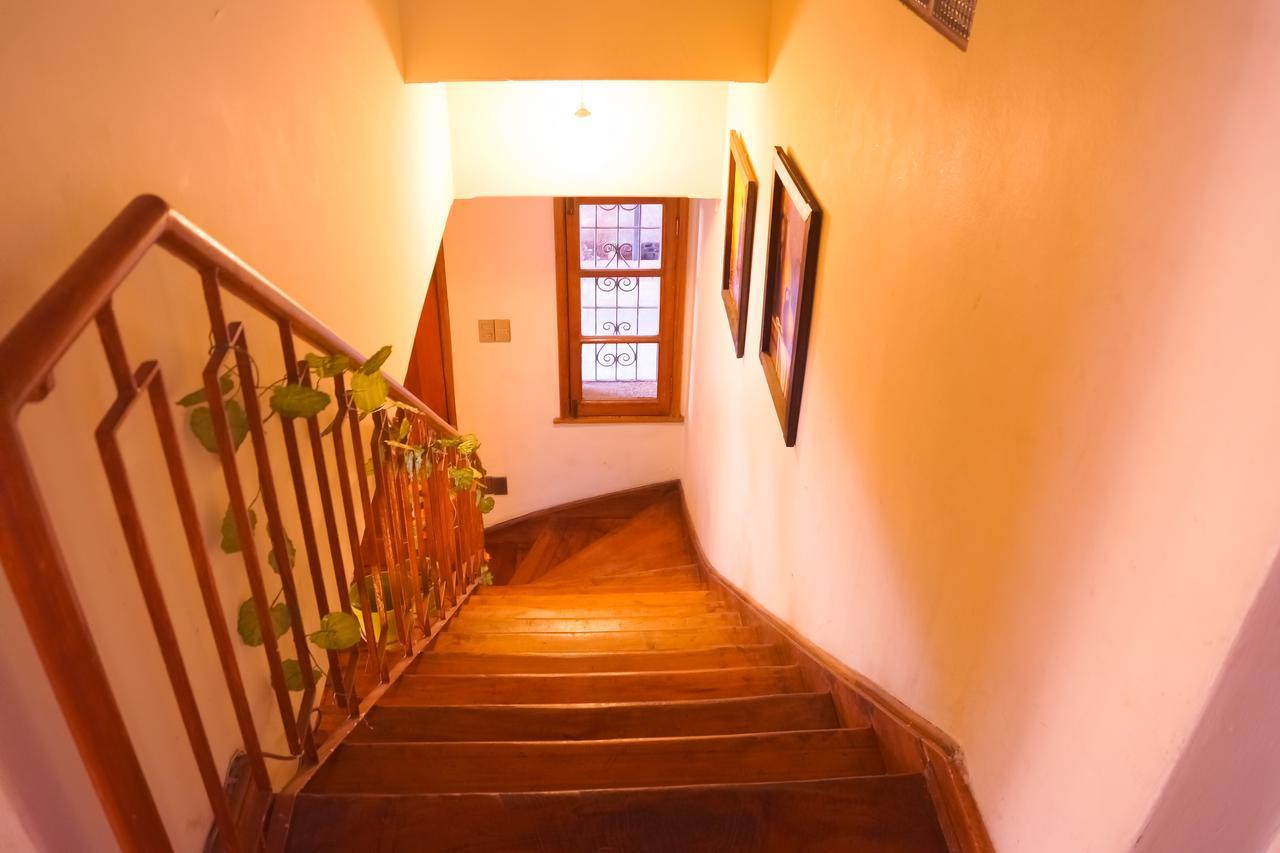 Homestay In Chile B&B 库里科 外观 照片