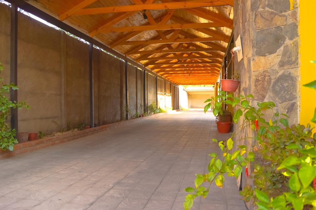 Homestay In Chile B&B 库里科 外观 照片
