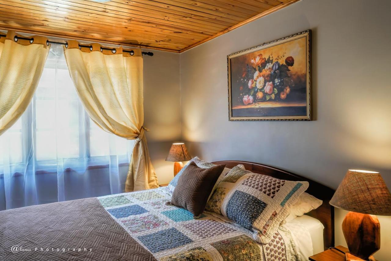 Homestay In Chile B&B 库里科 外观 照片